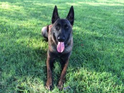 CASWD-Katrina-profile-pic