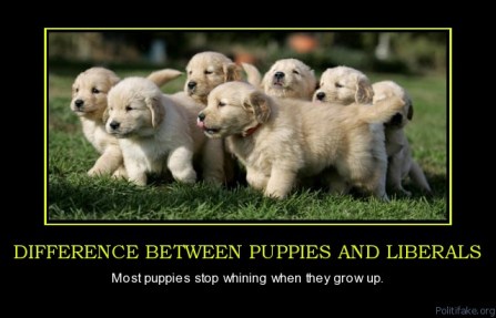 difference-between-puppies-and-liberals-puppies-stop-whining-political-poster-1294064730