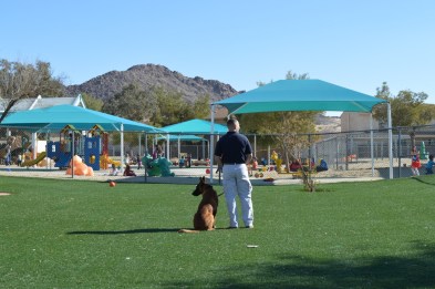 GPS Canine Overwatch at a School