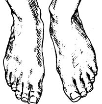 Properly Trimmed Toenails