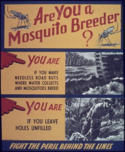 _Are_you_a_mosquito_breeder__-_NARA_-_513877