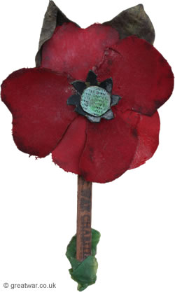 haig-fund-poppy-250